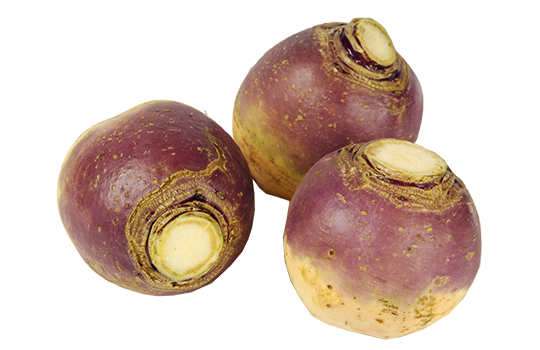 Elite. Swede