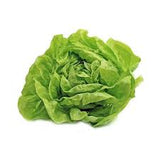 Lettuce Round/Flat