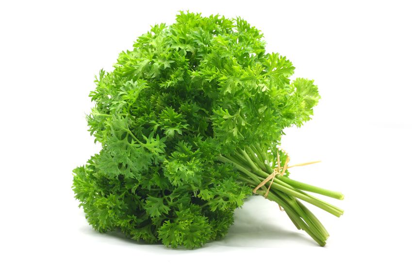 Chervil 100g  bunch