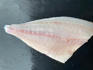 Bream Fillets. Large