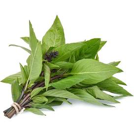 Thai Basil 100g  bunch