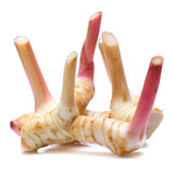 Galangal