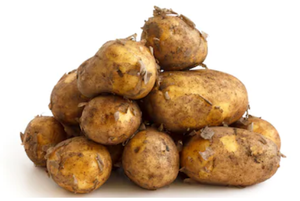 Potato Jersey Royals Ware