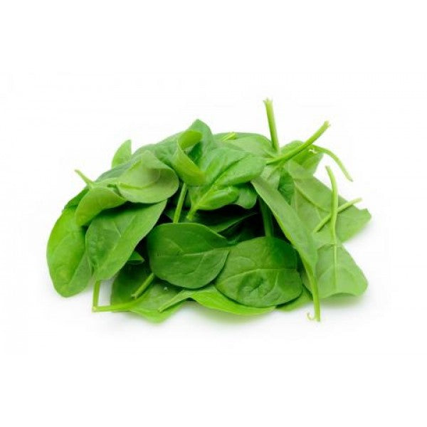 Baby Spinach ( Pousse Epinard)