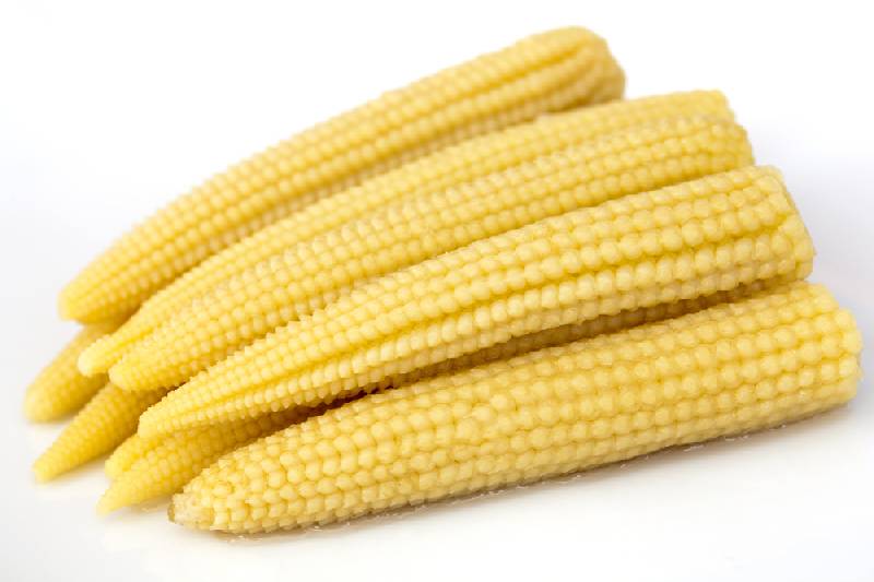 Corn Baby