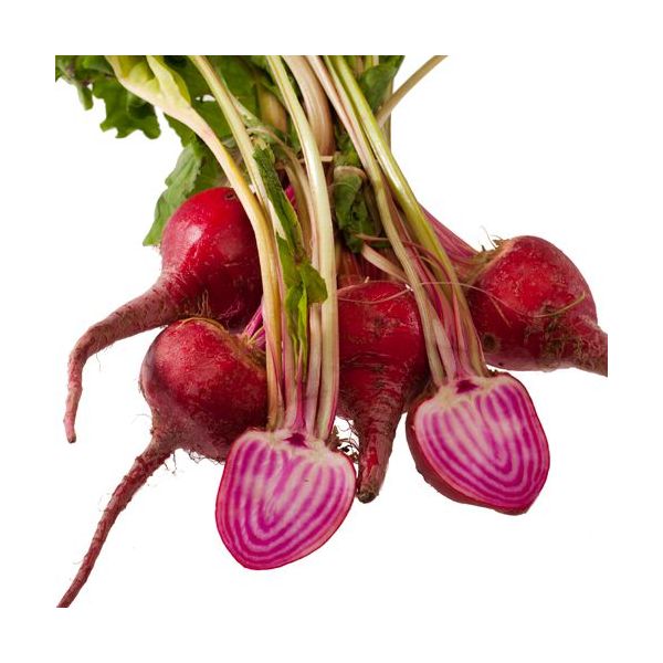 Baby Candy Beetroot. bunch
