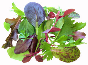Lettuce Baby Mix Leaf 500gm pkt