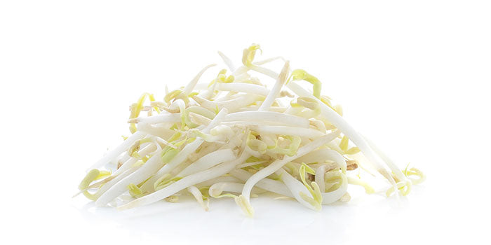Bean Sprouts. 125gm pkt