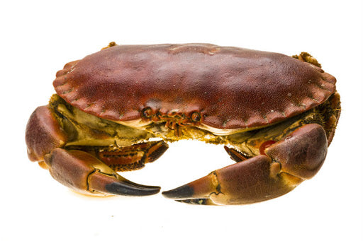 CHAP. Crab Whole Brown Hens Live  4/1000g  Kg
