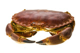CHAP. Crab Whole Brown Hens Live  4/1000g  Kg