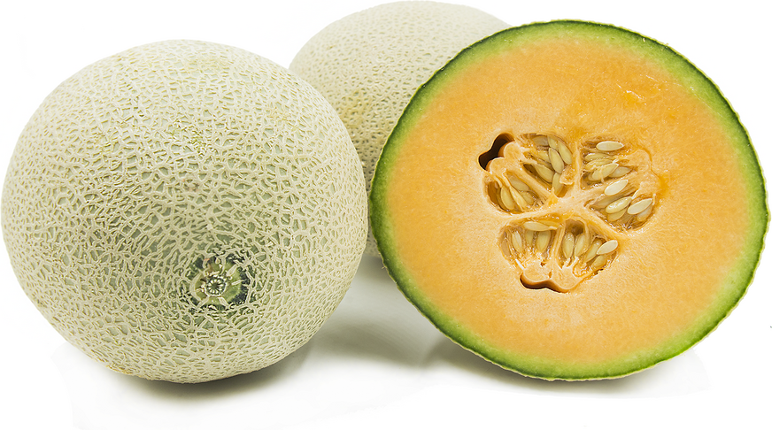 Melons Cantaloupe