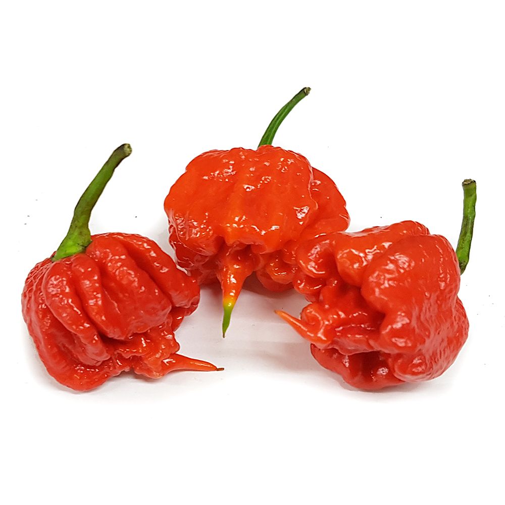 Chillies  Carolina Reaper  2kg  ( hottest chilli in the world)
