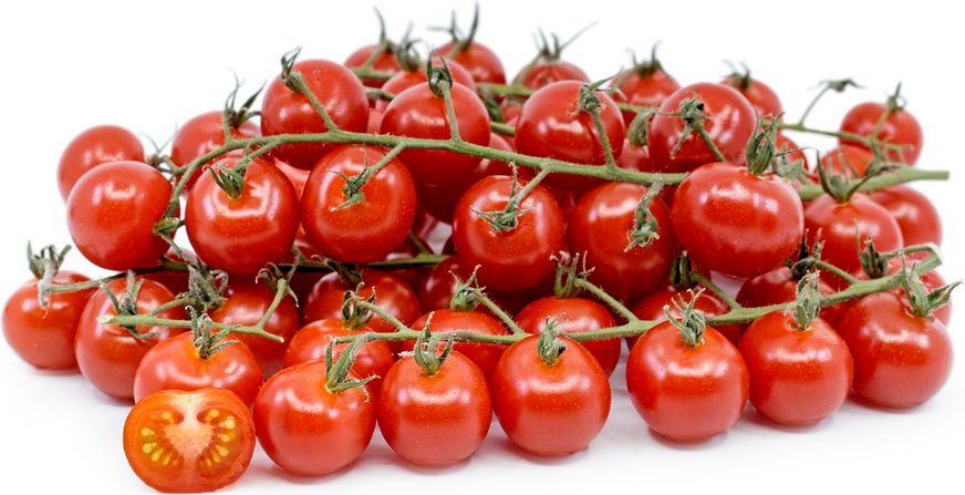 Tomato Cherry Vine