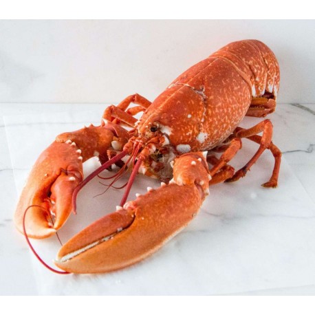 6813  Lobster Whole Cooked (loli)  350g  FZ
