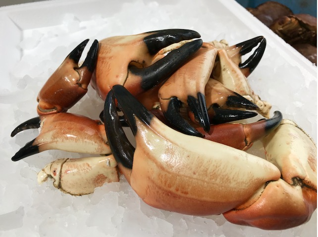 6202  Crab claw whole cooked  5Kg  FZ