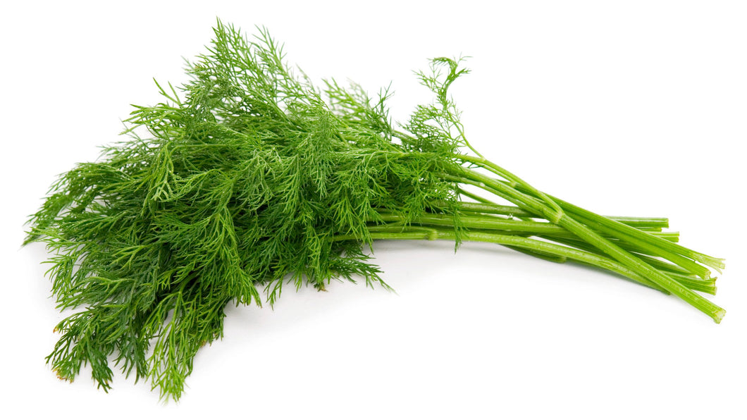 Dill 100g bunch