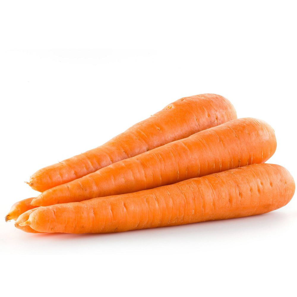 Carrot Large (donkey)