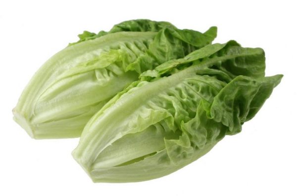 Lettuce Baby Gem