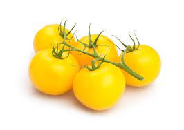 Tomato Yellow Vine