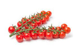 Tomato Cherry Vine Very Small