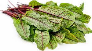 Sorrell  Red 100g bunch