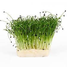 Cress Rock Chives