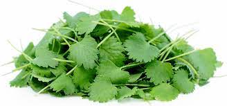 SUP. Micro Cress Anise  Punnet