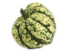 Harlequine Squash