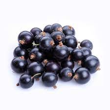 Berry Blackcurrant 125g punnet