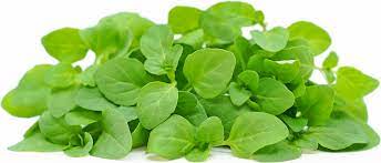 SUP. Micro Mint Cress. 30gm
