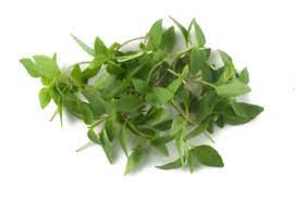 SUP. Micro Thai Basil Cress. 30gm