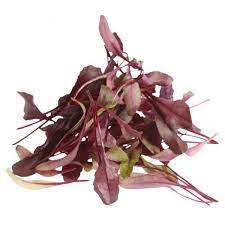 SUP. Micro Red Chard Cress. 30gm