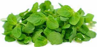 SUP. Cress Shiso Green  Punnet