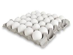 White Eggs Tray x30