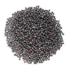 Seeds Mustard Black