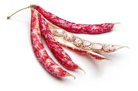 Borlotti Beans