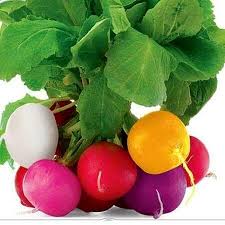 Radish Leaf Bunch Mix Colour