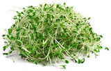 Alf Alfa Cress. 30gm