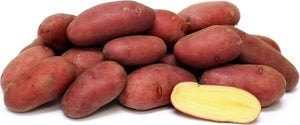 Potato Jumbo Red Rooster