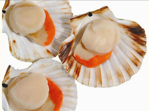 393  Scallops King in Shell Diver Each