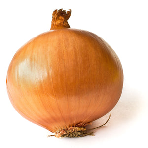 Onions Large SPANISH
