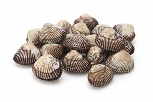320  Cockles Live in Shell  1kg