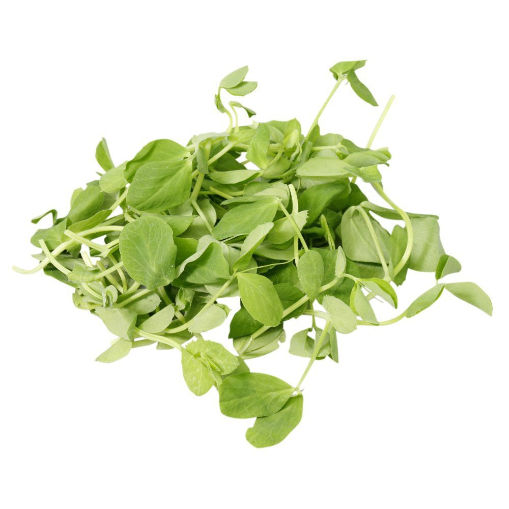 Micro Tendril Pea shoots