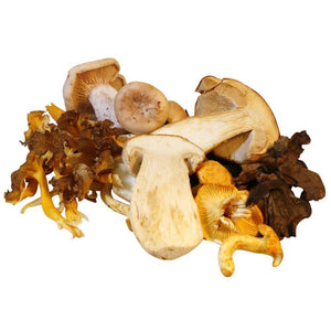 Mix Wild Mushrooms Exotic Premium Mix
