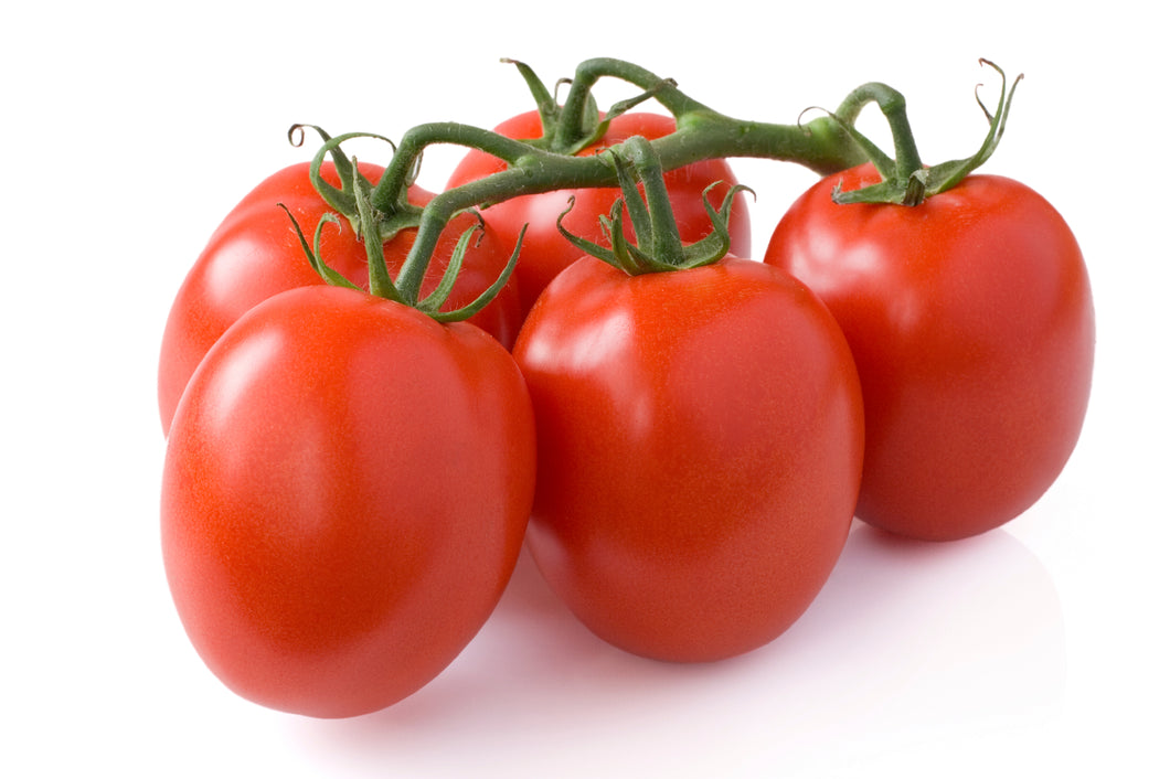 Tomato Plum Vine