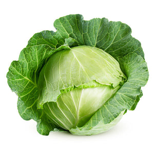 Cabbage Primo