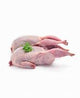 Quail boneless