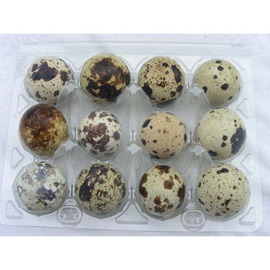 Quails Eggs  x18