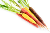Rainbow Baby Carrot Bunch