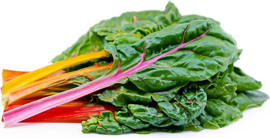 Swiss Chard. Rainbow